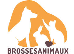 brossesanimaux